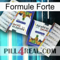 Strong Formula 12